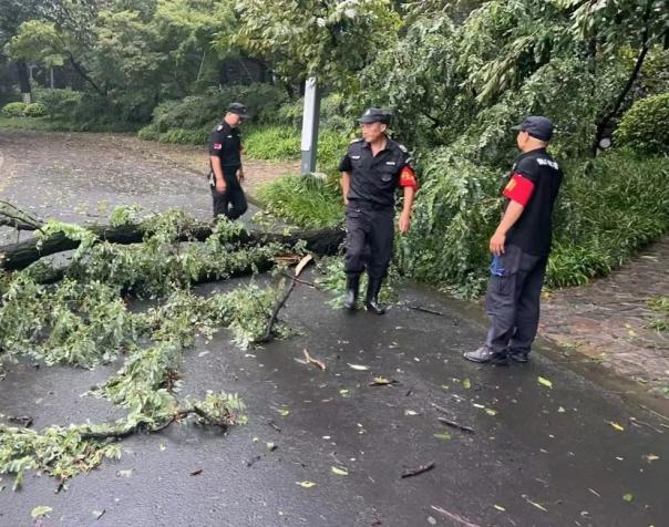 C:/Users/BA/Desktop/風(fēng)雨過后南京保安迅速行動，恢復(fù)安“寧”面貌/7.jpg7